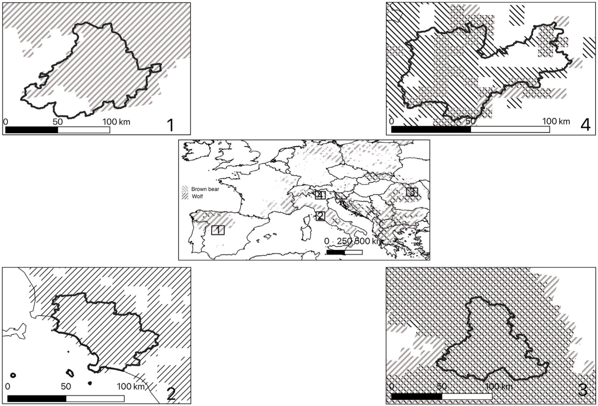 Location of the study sites with respect to the distribution of the large carnivores involved in the study: brown bear (Ursus arctos) and wolf (Canis lupus). Location of the study sites with respect to the distribution of the large carnivores involved in the study: brown bear (Ursus arctos) and wolf (Canis lupus).