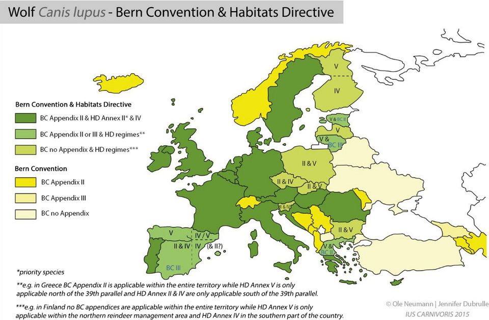Bild Wolf Canis lupus - Bern Convention & Habitats Directive Bild Wolf Canis lupus - Bern Convention & Habitats Directive