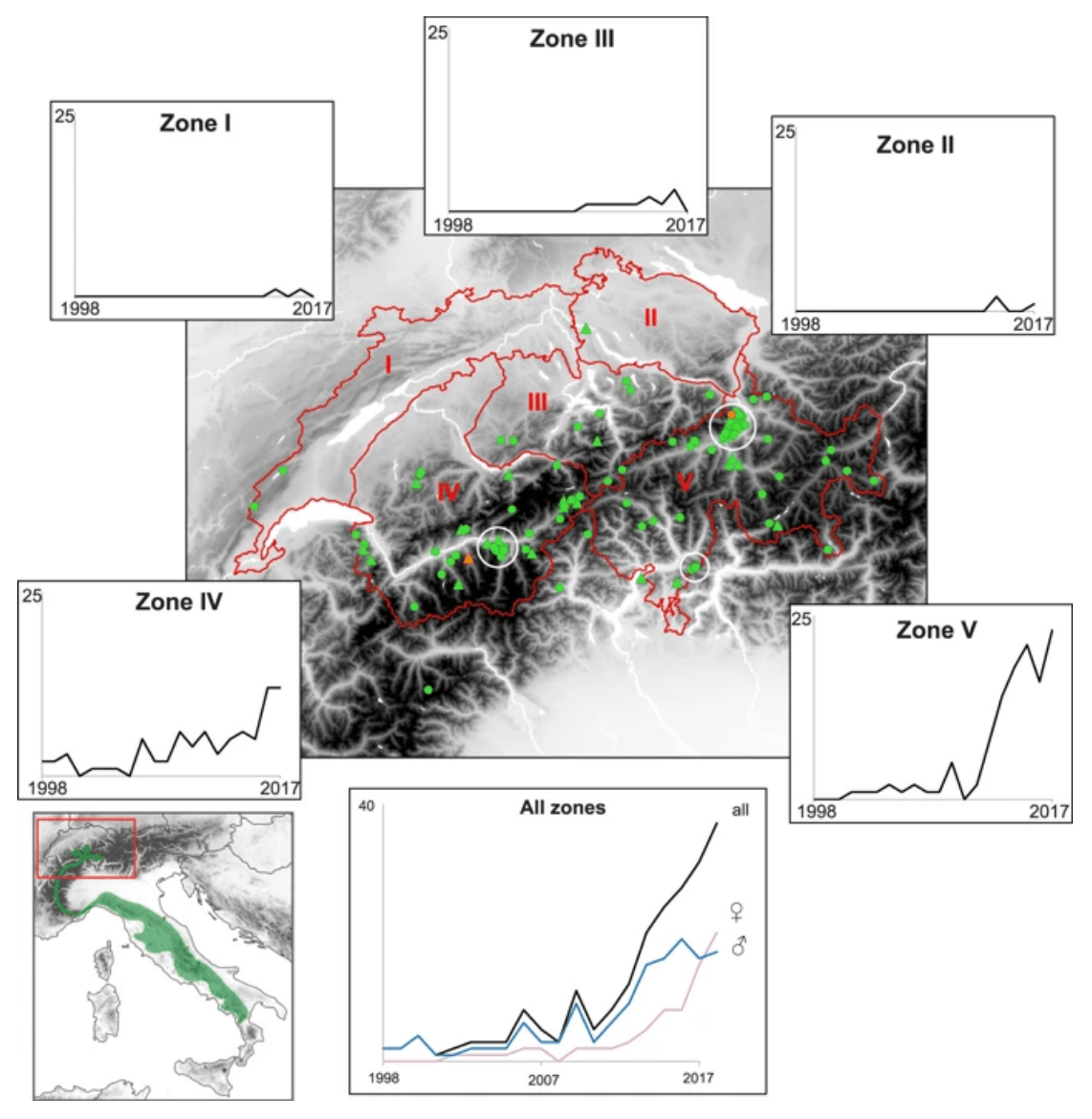 Bild Evolution of the numbers of detected wolves in Switzerland in space and time. Bild Evolution of the numbers of detected wolves in Switzerland in space and time.