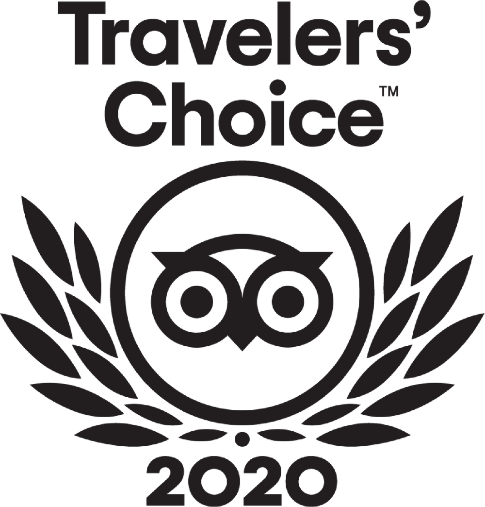 A black and white logo for travelers choice 2020 with an owl and laurel wreath.