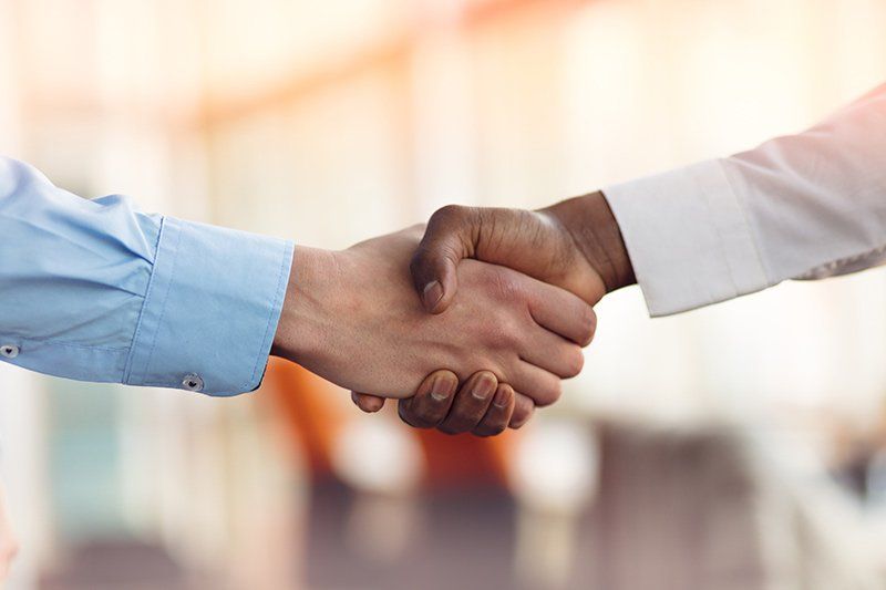 handshake closeup