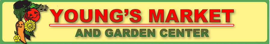 Young's Market and Garden Center Young's Market and Garden Center