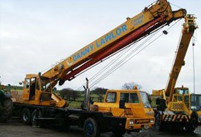 expert crane operator