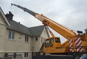 plant machinery
