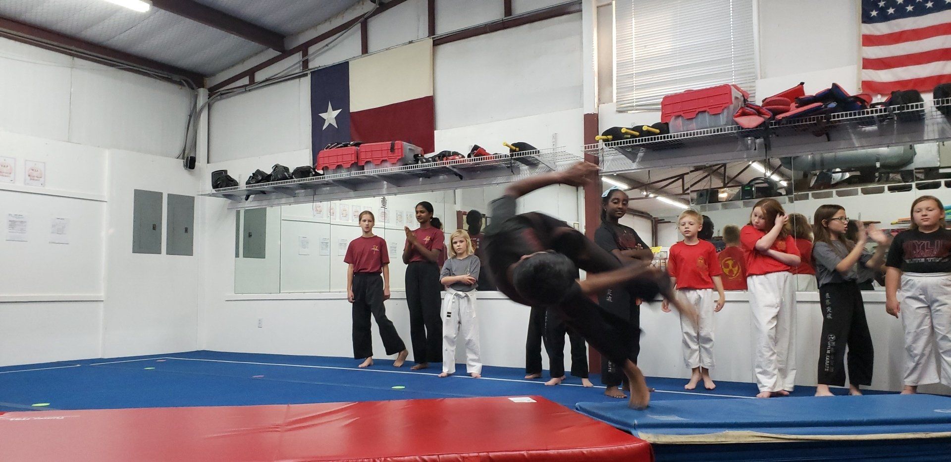 Elite Martial Arts Program
