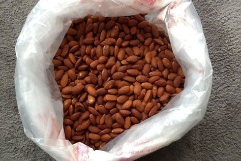mandorle tostate