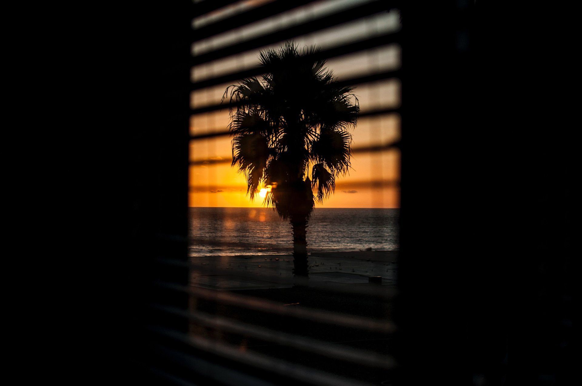 window blinds on the Gold Coast by the blind doctor