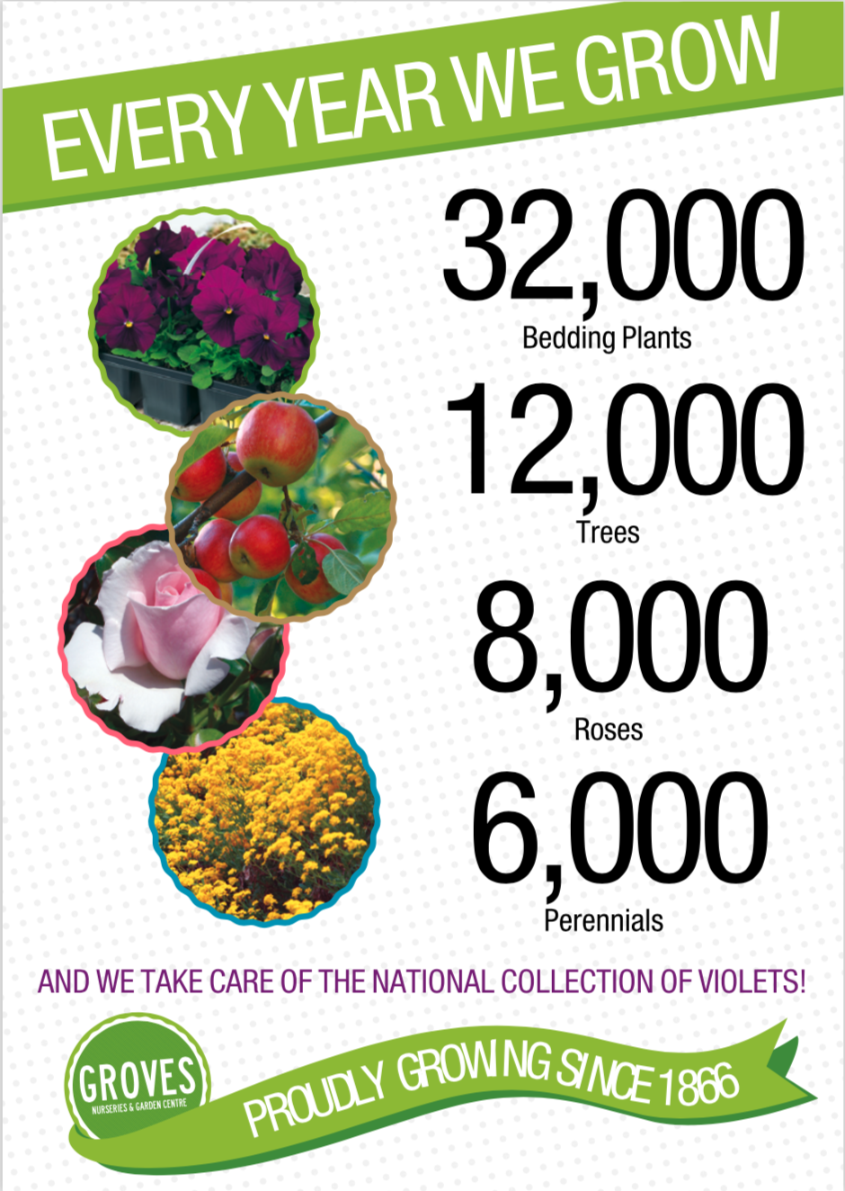 Infographic for Groves Nurseries