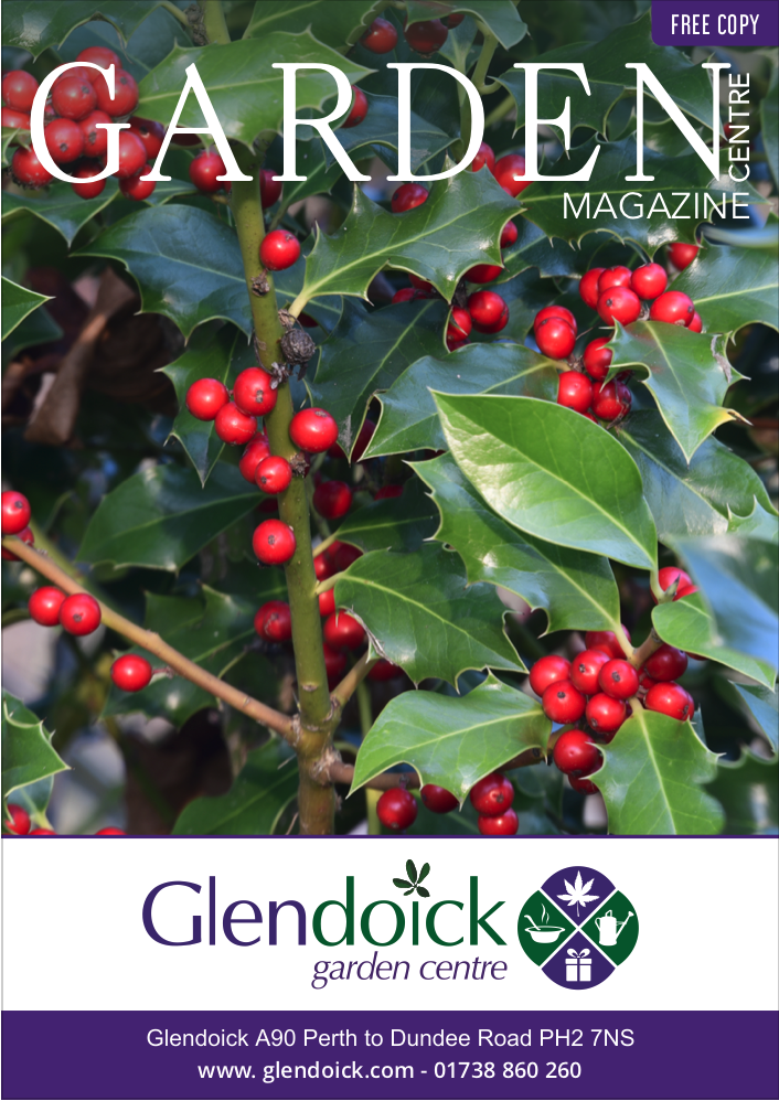 Cover of Glendoick Garden Centre Magazine showing holly branches with red berries and the business's branding and contact.