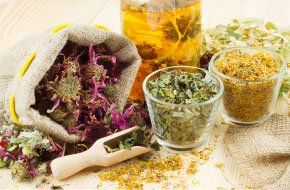 Acupoint Family Wellness Acupuncture Herbal Medicine