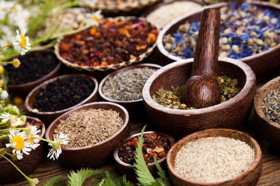 Acupoint Family Wellness Herbal Medicine