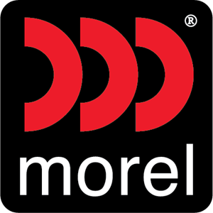 DLS