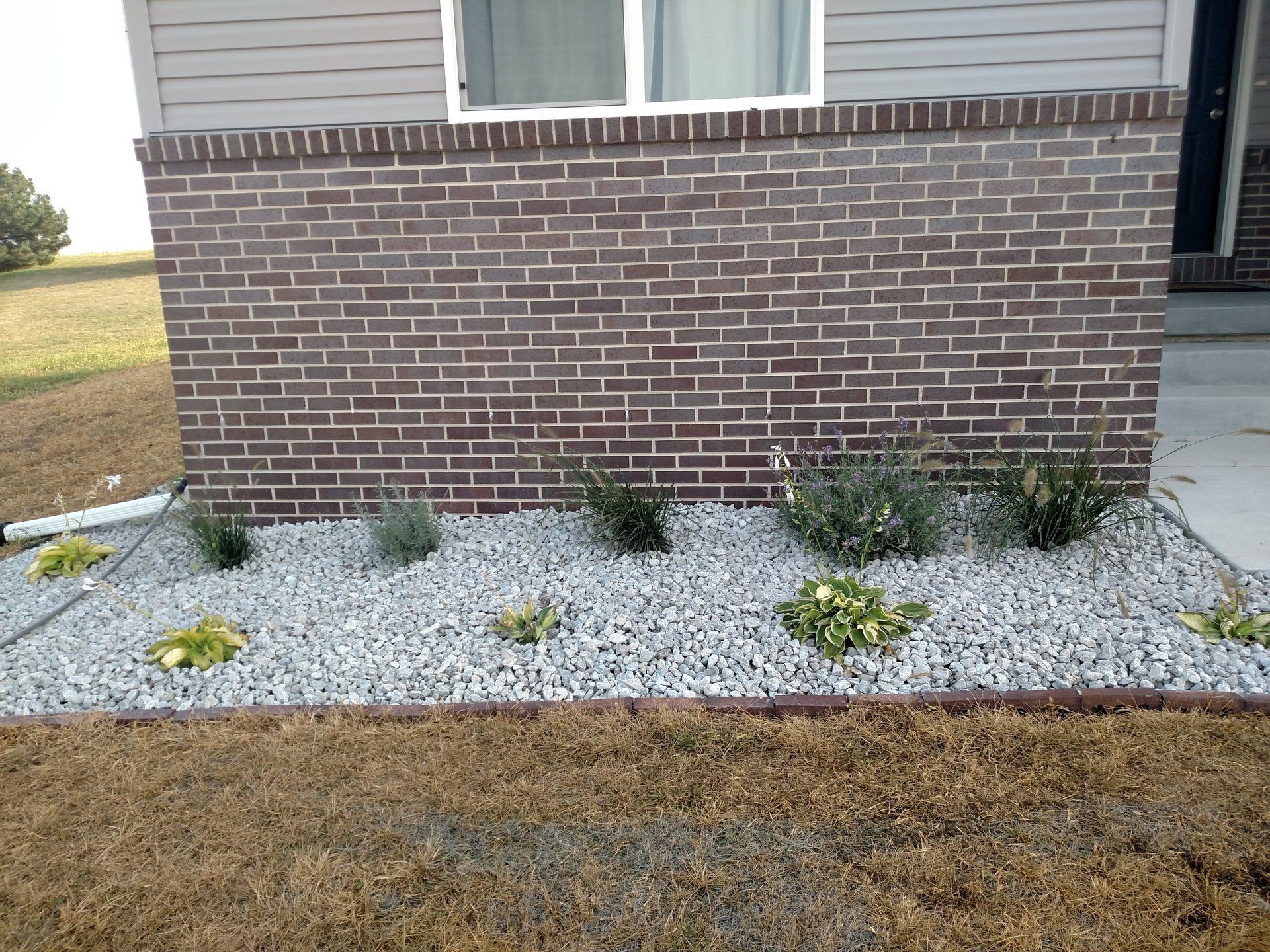 Brick wall with landscaping: gray gravel bed, plants, brown trim, and dry grass.