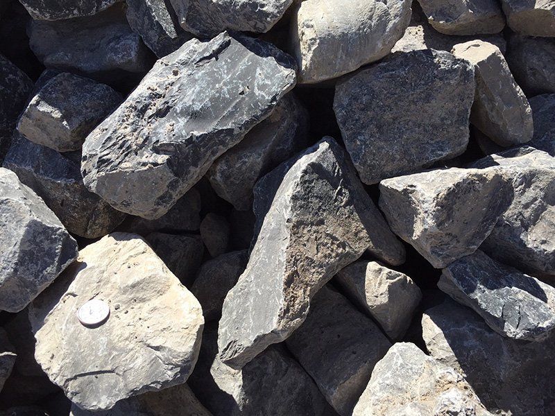 Pile of gray landscaping rocks; a coin for scale.