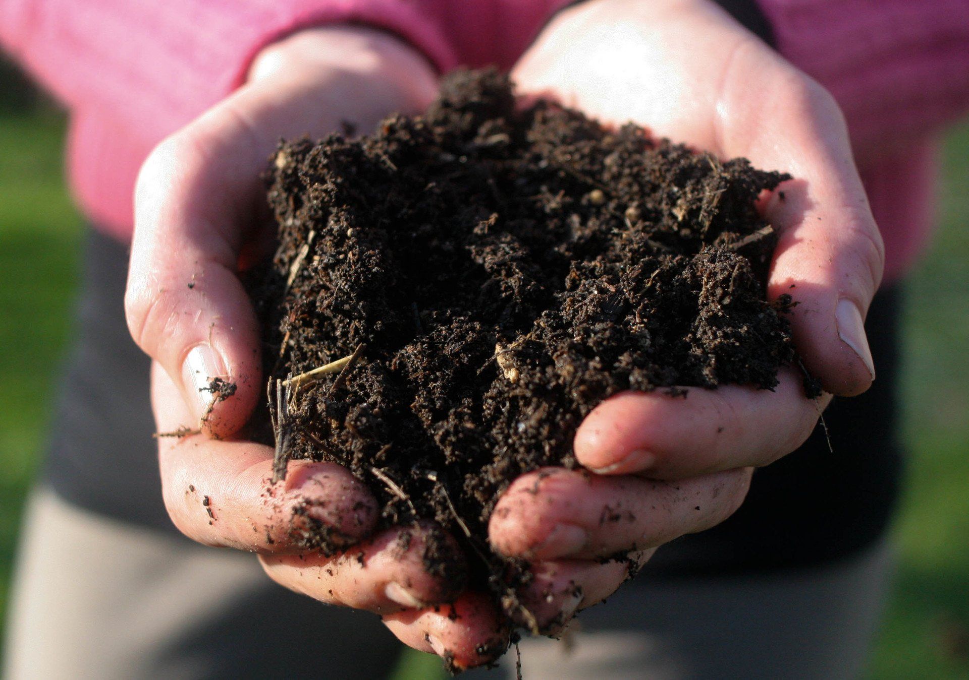 Hands cupping a handful of dark, rich soil outdoors.