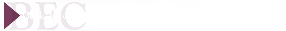 Berkshire Environmental Consultants, Inc.