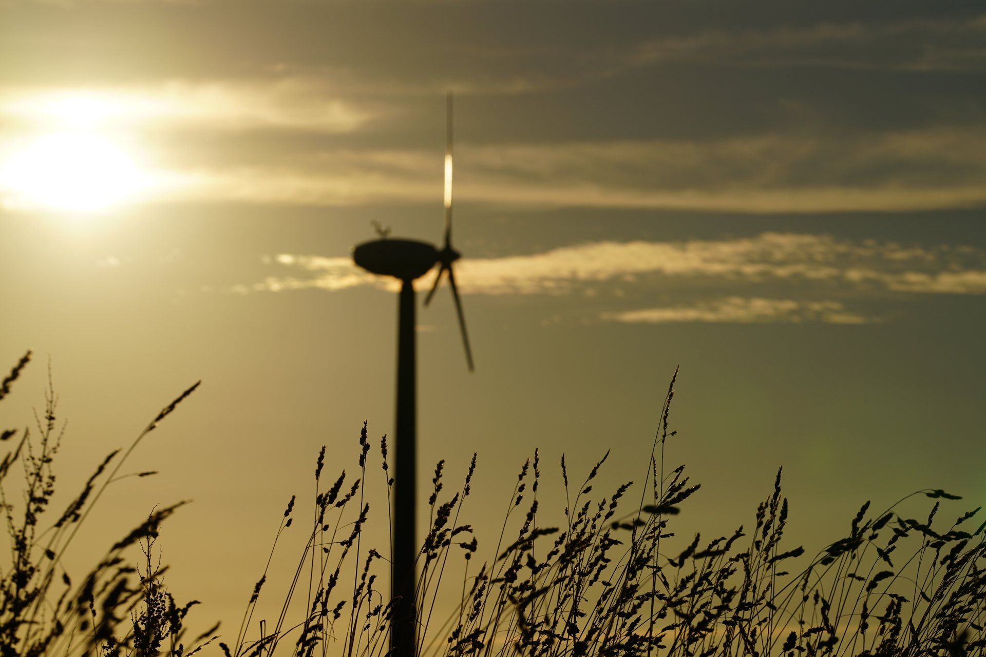 Our wind turbine powers the Farm Shop