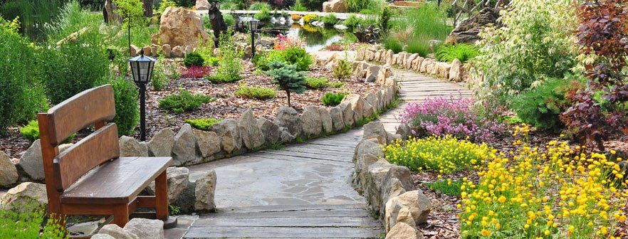 landscaped garden