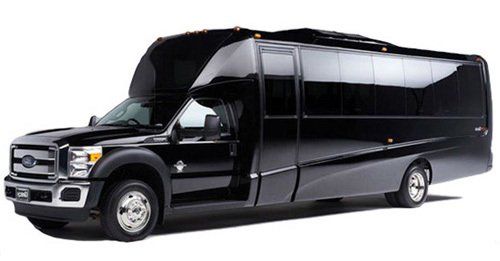 20 passenger party bus