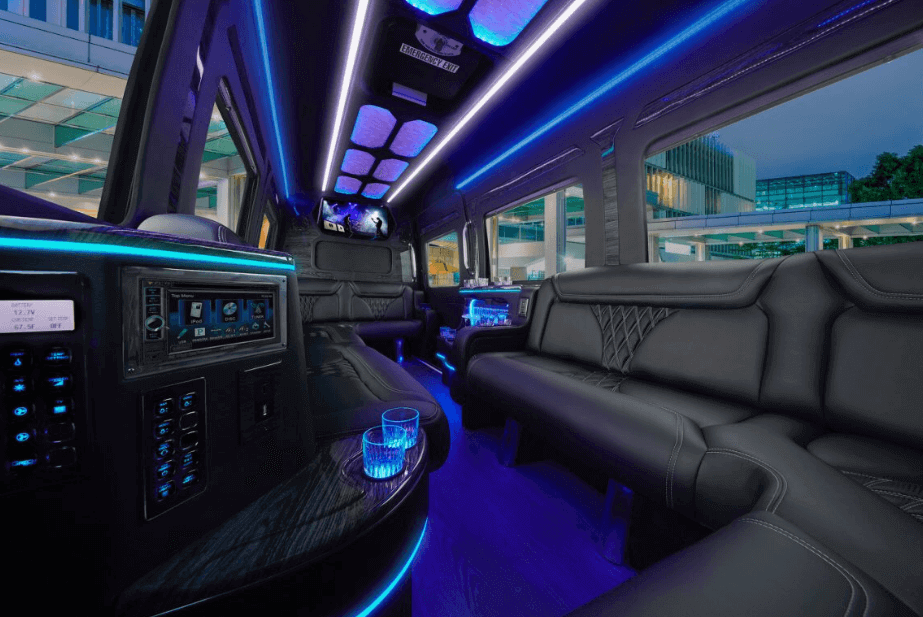 9 passenger Sprinter limo interior