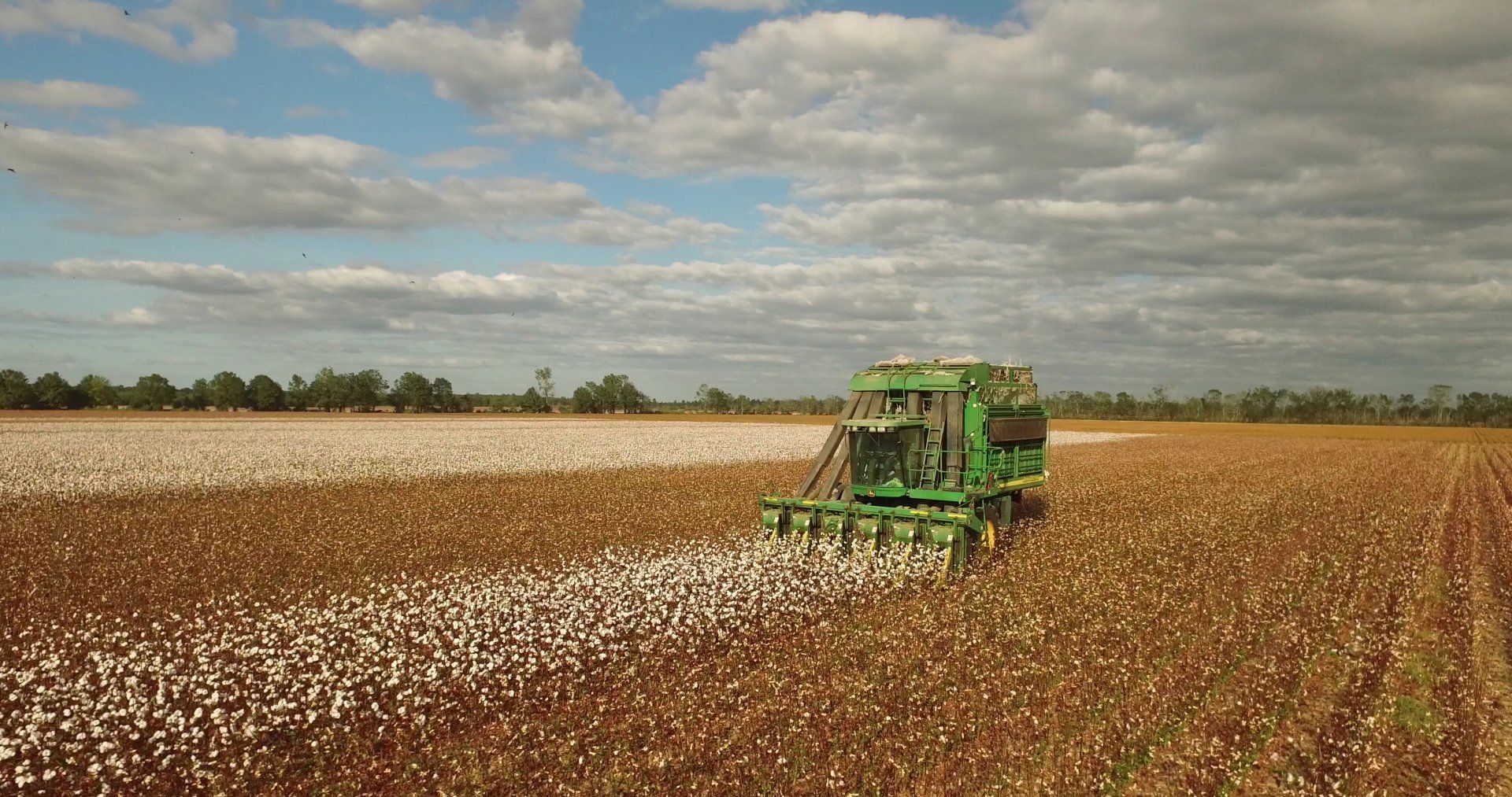 farm stock footage