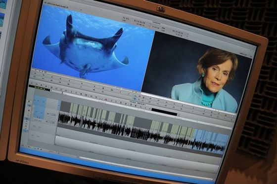 Baton Rouge video production