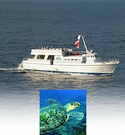Underwater Imaging
