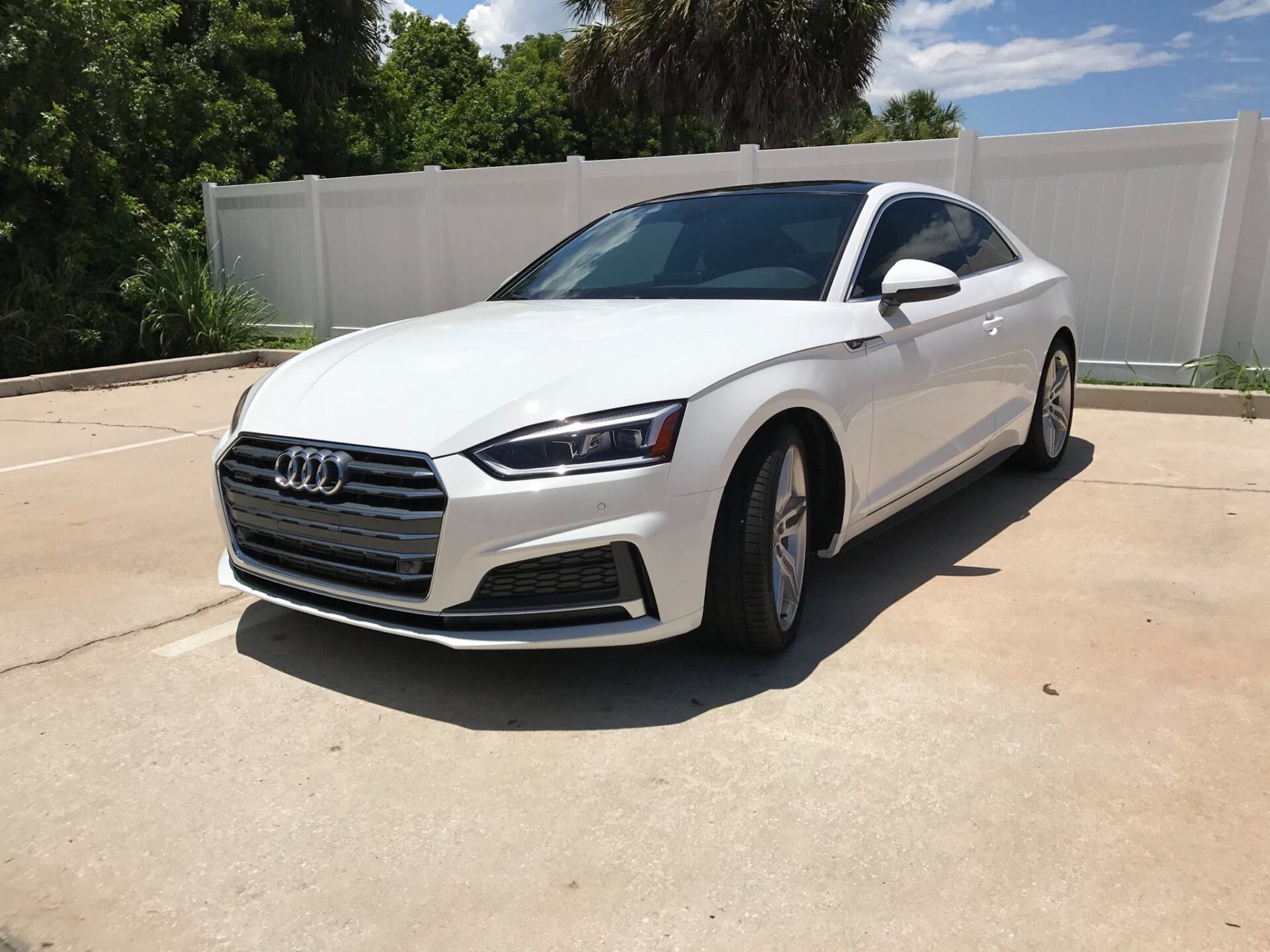 car window tint percentage
