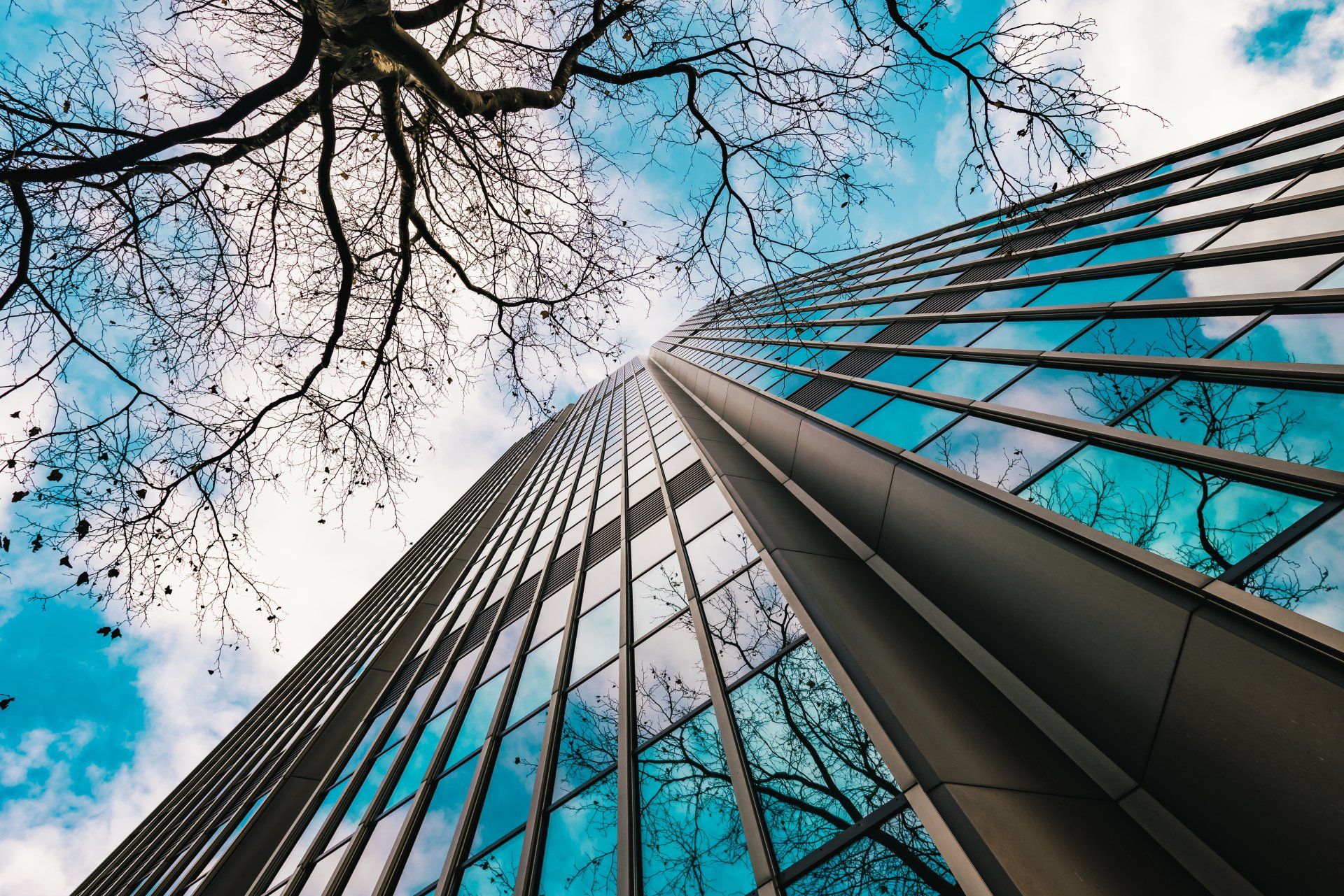 Exterior Window Films