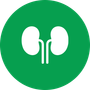 Icona – Endocrinologia