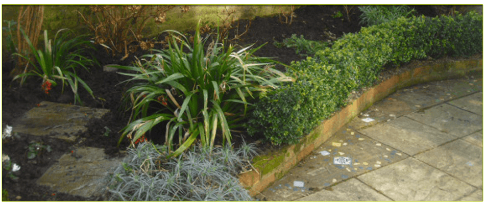 To get help with garden maintenance in North London call 07958 381 049 To get help with garden maintenance in North London call 07958 381 049
