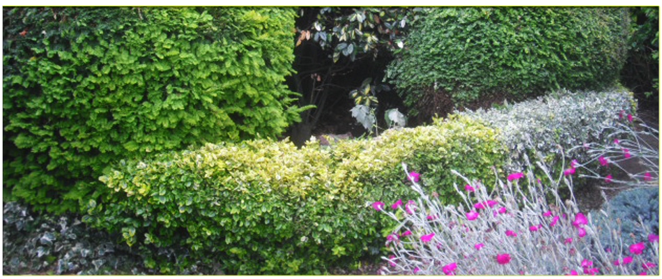 To get help with garden maintenance in North London call 07958 381 049 To get help with garden maintenance in North London call 07958 381 049