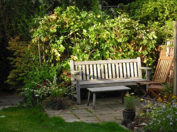 If you'd like a beautiful, easy to maintain garden in North London call 07958 381 049