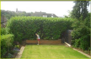 For garden design and landscaping in North London call 07958 381 049 For garden design and landscaping in North London call 07958 381 049
