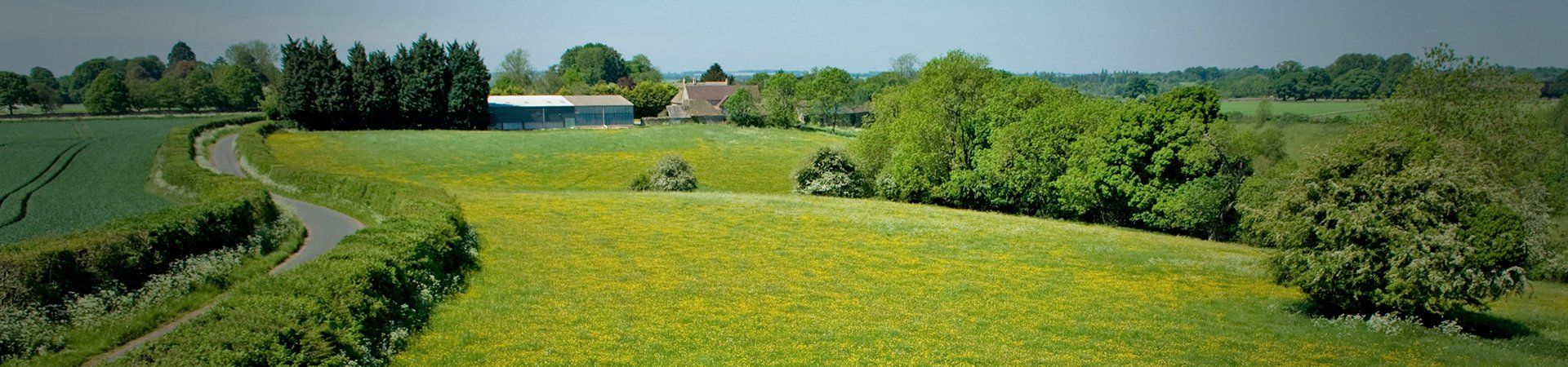 landscape inspection example 2