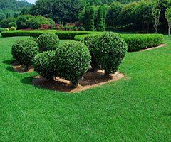 landscape design services landscape design services