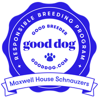 Good Dog Badge
