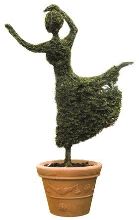 gardening projects - London - Mark Hodges Gardens - surgery services gardening projects - London - Mark Hodges Gardens - surgery services