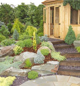 soft landscaping - London - Mark Hodges Gardens - Wandsworth
