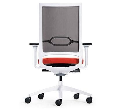 Linea Quarterback Direzionale