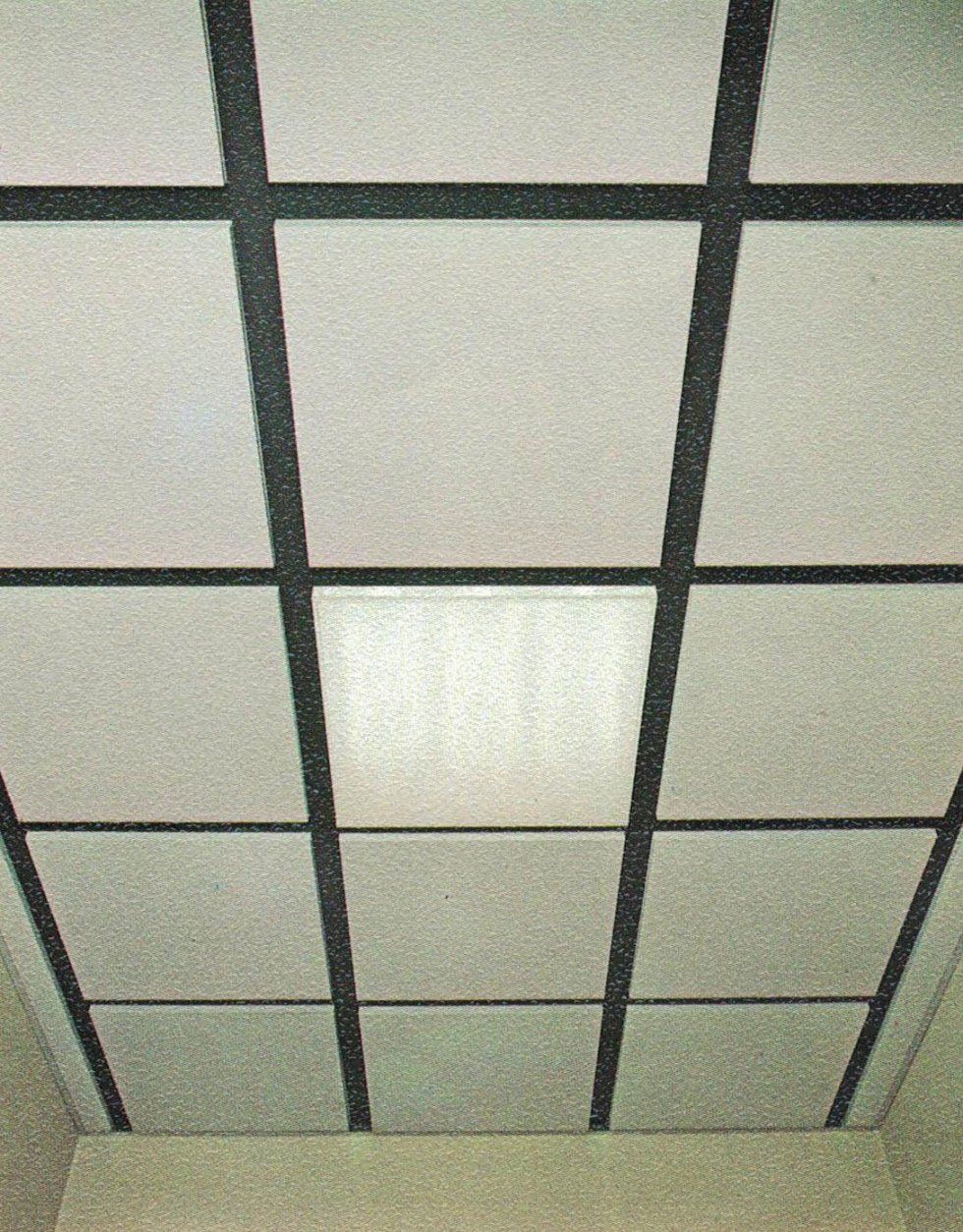 Un controsoffitto con piastrelle bianche testurizzate incorniciate da una griglia nera, su cui spicca un apparecchio di illuminazione rettangolare.