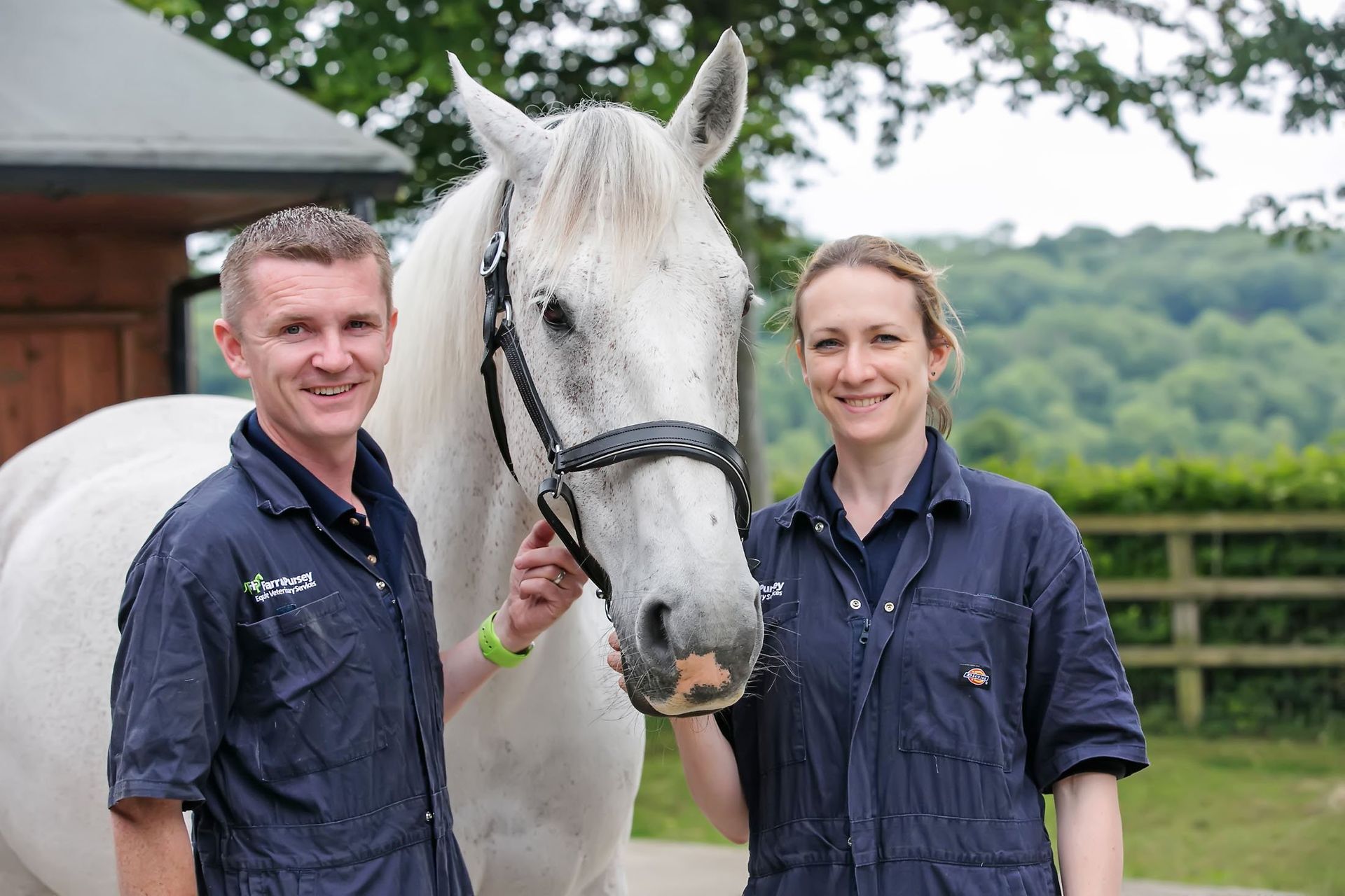 Professional photographer Reading equine vet