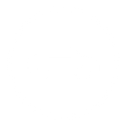 Icon of a car with round model border