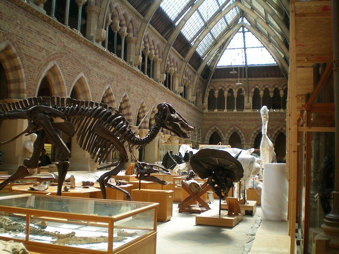 Oxford Museum