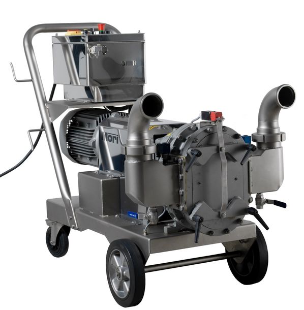 Elliptical piston pumps type V