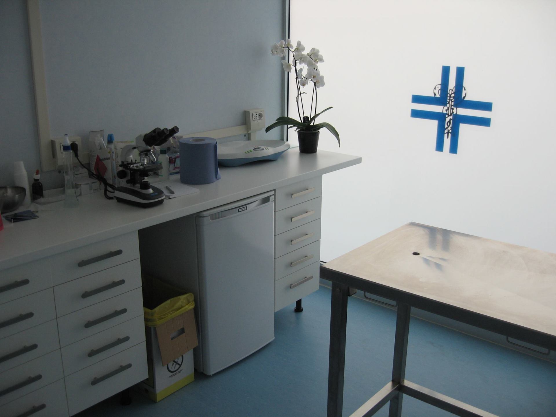 Trattamenti dentistici