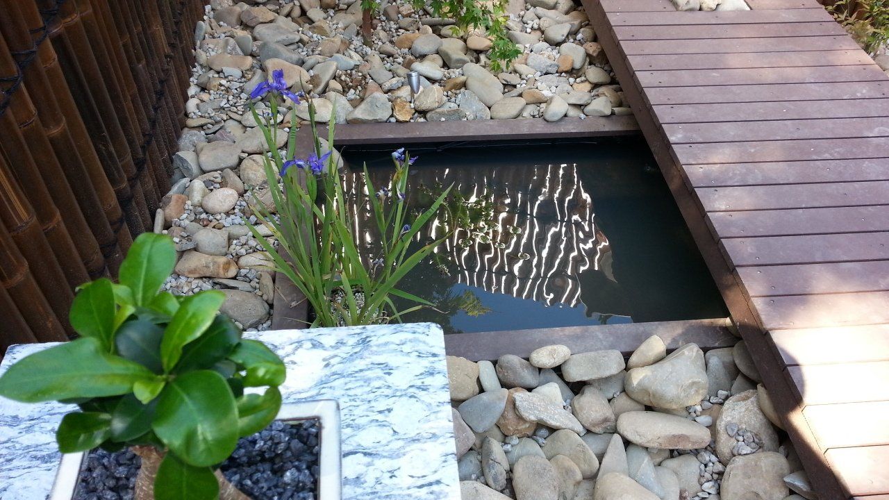 Japaneses garden 5