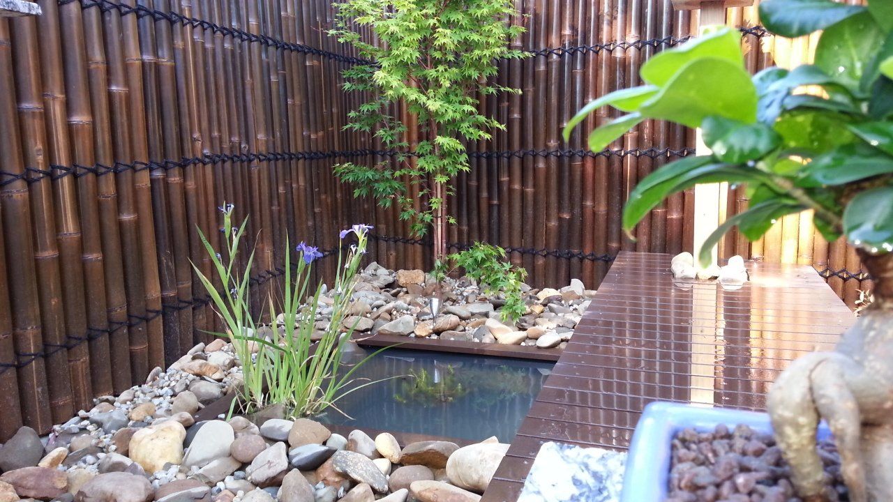 Japaneses garden 4