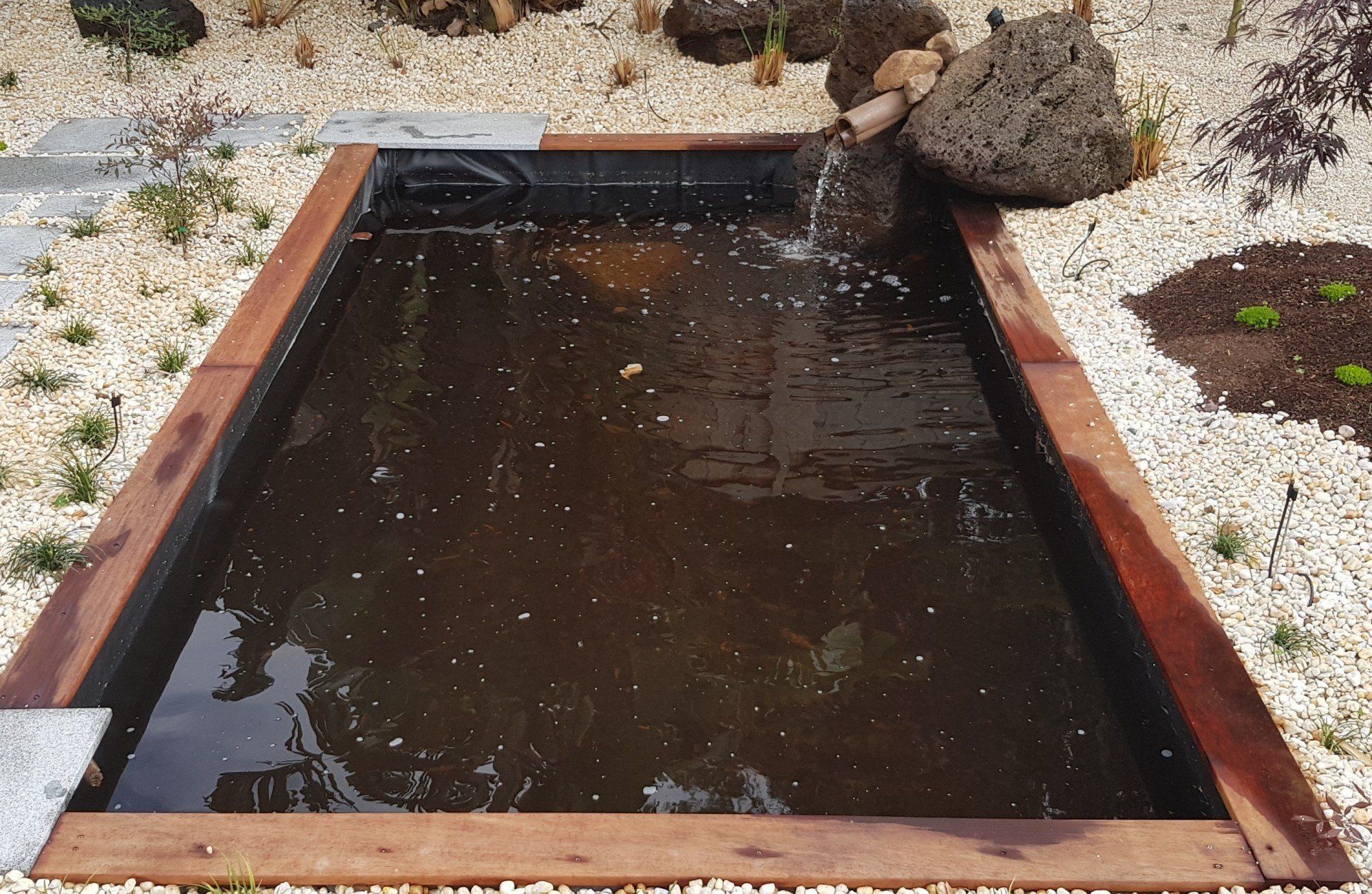 Water Features Medium
