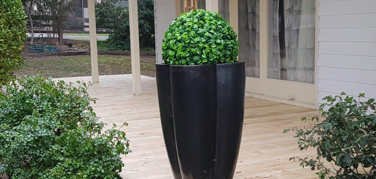 Decks - Pine